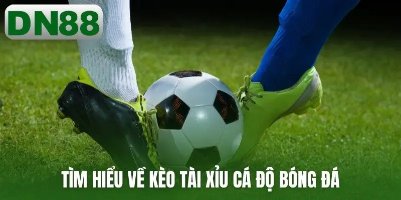 Tìm hiểu về kèo tài xỉu cá độ bóng đá